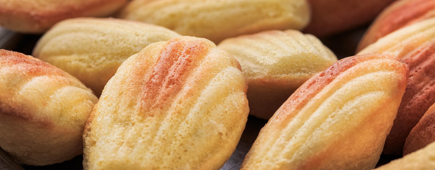 Grossansicht von gebackenen Madeleines (Schmelzbrötchen)